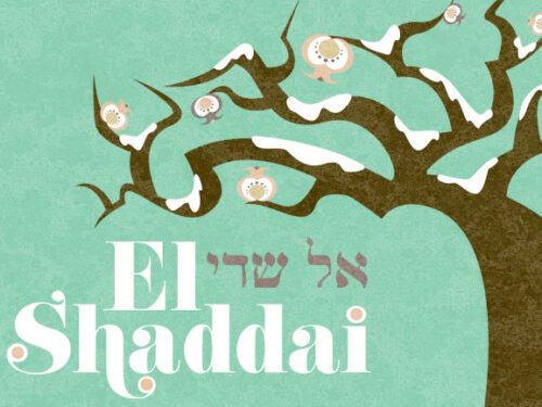 Catechesi – EL-SHADDAI